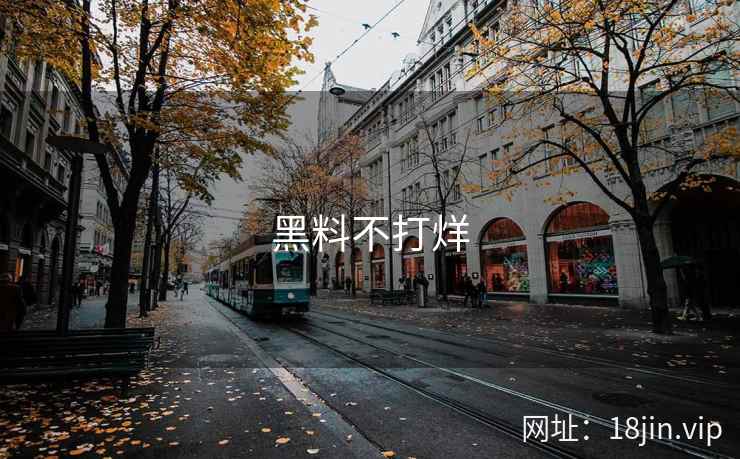 黑料不打烊