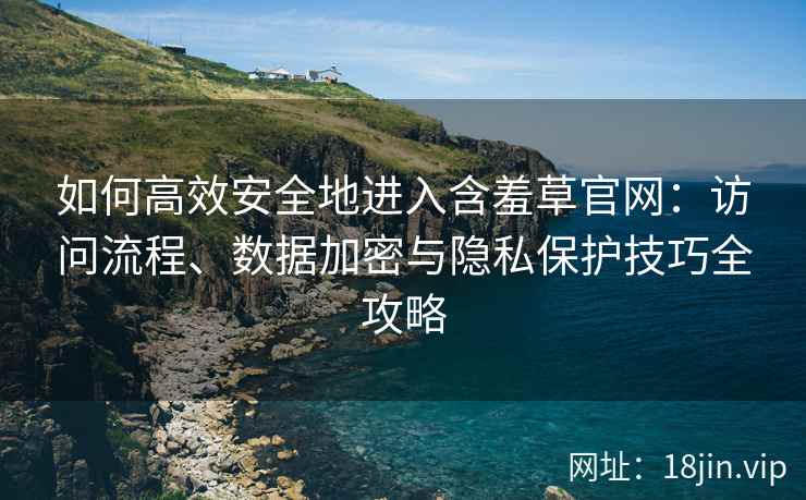 如何高效安全地进入含羞草官网：访问流程、数据加密与隐私保护技巧全攻略