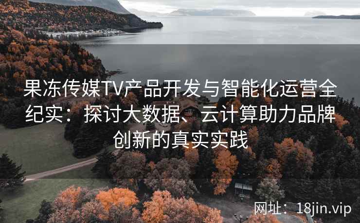 果冻传媒TV产品开发与智能化运营全纪实：探讨大数据、云计算助力品牌创新的真实实践