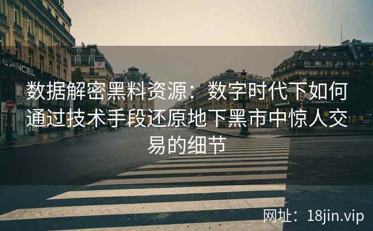 数据解密黑料资源：数字时代下如何通过技术手段还原地下黑市中惊人交易的细节