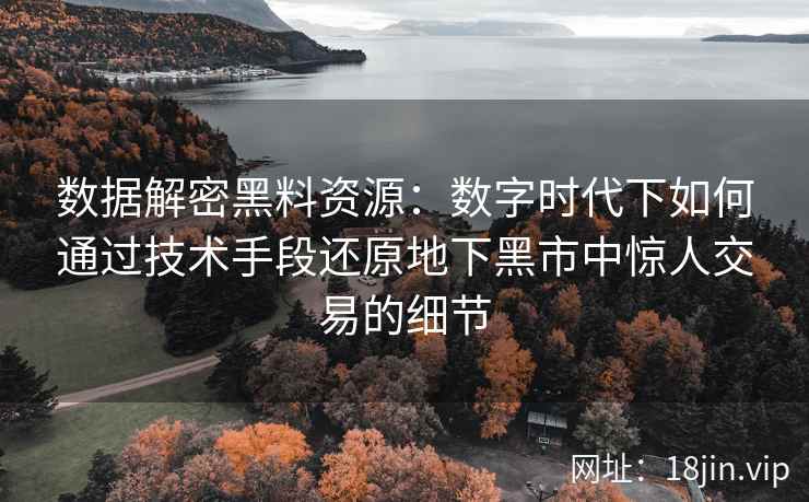 数据解密黑料资源：数字时代下如何通过技术手段还原地下黑市中惊人交易的细节