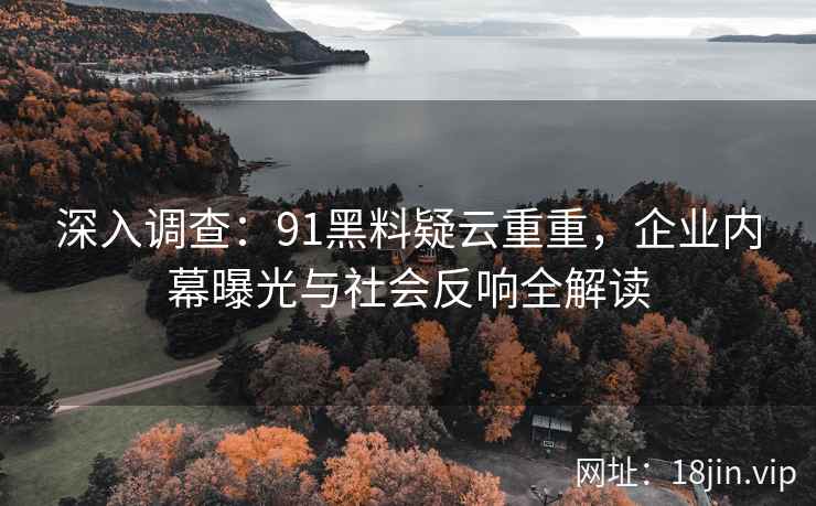 深入调查：91黑料疑云重重，企业内幕曝光与社会反响全解读